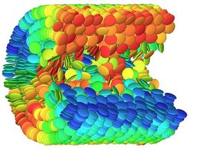 Liquid crystals form nano rings