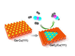 Watching a Bimetallic Catalytic Surface in Action