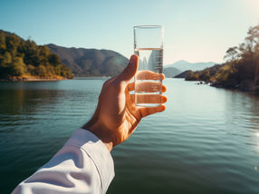 Tracking down Environmental Toxins