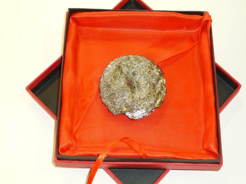 Black Magic for Greener Chemistry - Markus Antonietti receives Arkema Prize from the French Académie des Sciences