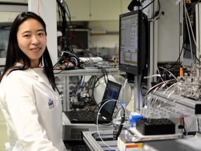 Water treatment: nanotubes capture steroid hormones