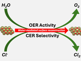 Oxygen and chlorine evolution without noble metals